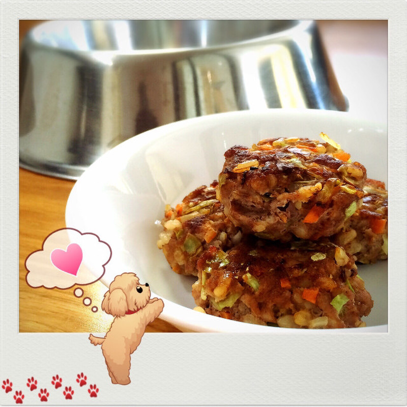 みんなが作ってる 犬用 ハンバーグのレシピ クックパッド 簡単おいしいみんなのレシピが371万品