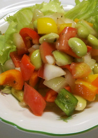 夏野菜の簡単彩りサラダ