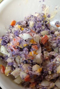 紫ジャガイモとキンウリのサラダ