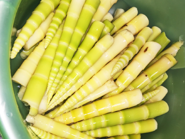 細竹の 下処理 他調理レシピあり レシピ 作り方 By Sachi クックパッド 簡単おいしいみんなのレシピが360万品