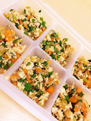 鶏野菜そぼろ 【離乳食完了期】の写真