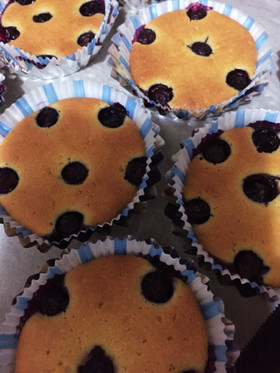 茨城県産のブルーベリー入りケーキ
