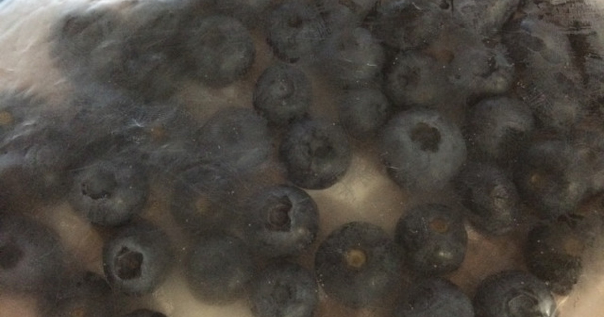 生ブルーベリーの保存方法 レシピ 作り方 By Mini子の料理教室 クックパッド 簡単おいしいみんなのレシピが350万品