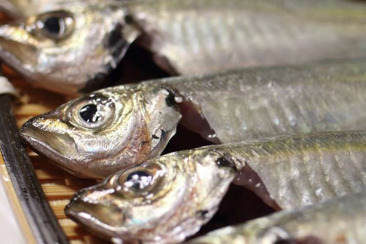 豆アジの手捌き方法 レシピ 作り方 By クッキングsパパ クックパッド 簡単おいしいみんなのレシピが366万品