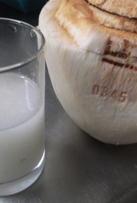 手作りココナッツミルク
