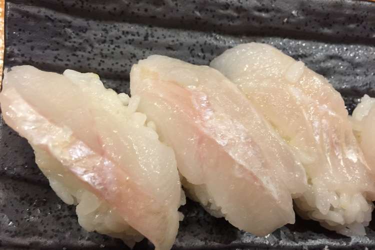 伝助あなごの握り レシピ 作り方 By 明石浦漁業協同組合 クックパッド 簡単おいしいみんなのレシピが354万品