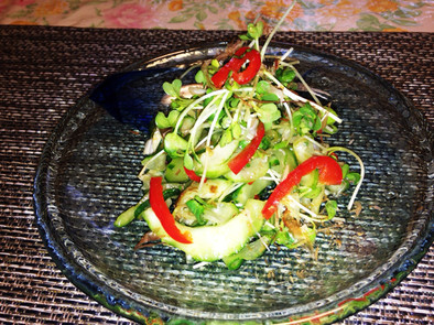 うりと胡瓜の浅漬け風サラダの写真