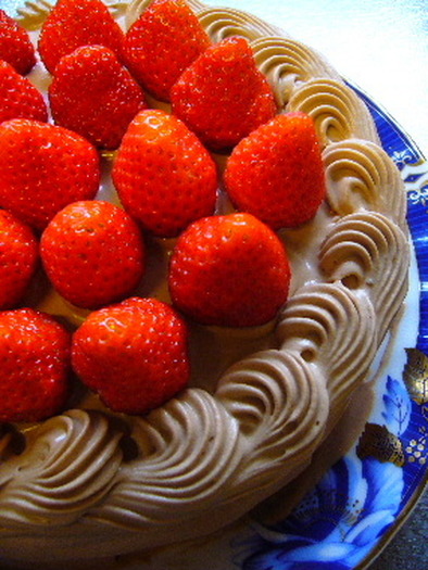 生チョコケーキ（いちご）の写真