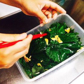 合法ハーブ『SHISO』〜しその醤油漬〜