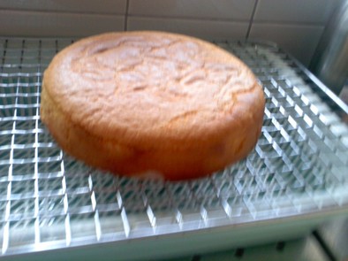 高野豆腐入りのソフトケーキの写真