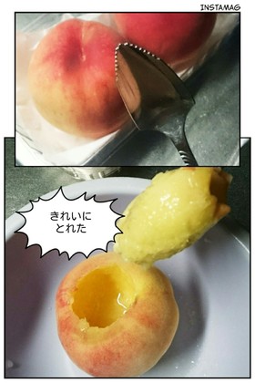 桃の種のとりかた