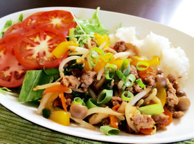 カフェ風ワンプレートご飯【野菜丼】