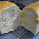 天然酵母　チェダーチーズ入りパン
