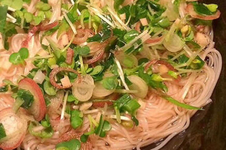 素麺や蕎麦の薬味 レシピ 作り方 By Hellw10 クックパッド 簡単おいしいみんなのレシピが358万品