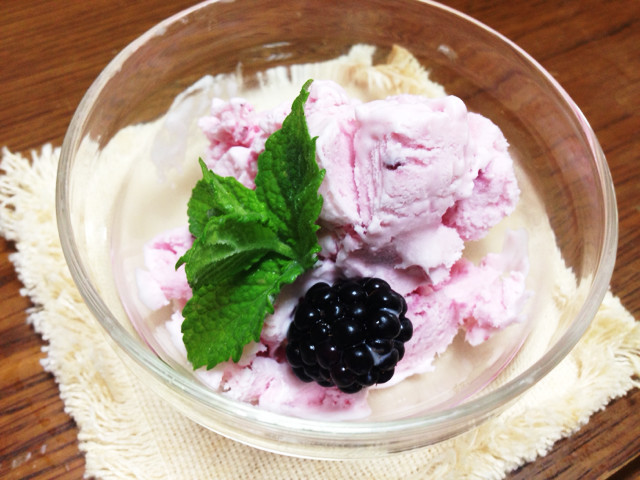 バニラフローズンヨーグルトのレシピ