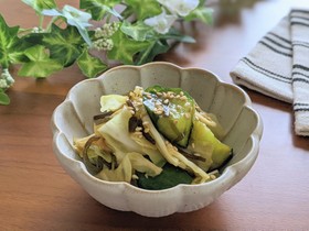 胡瓜とキャベツのやみつきサラダ