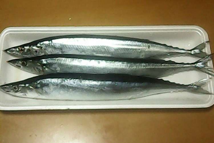 秋刀魚の三枚おろし レシピ 作り方 By はまらぶ クックパッド