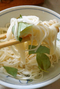 最速のドクダミON素麺