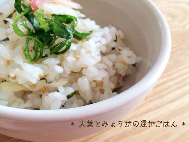 大葉 混ぜ ご飯
