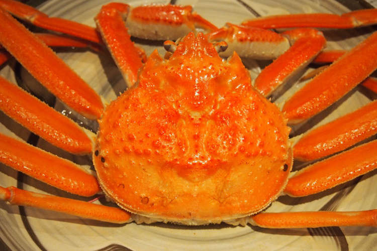 最高級の松葉蟹を自宅で美味しく茹でる方法 レシピ 作り方 By うまいもんドットコム クックパッド