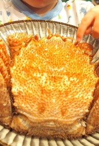 虎杖浜の黒毛蟹を自宅で美味しく茹でる方法