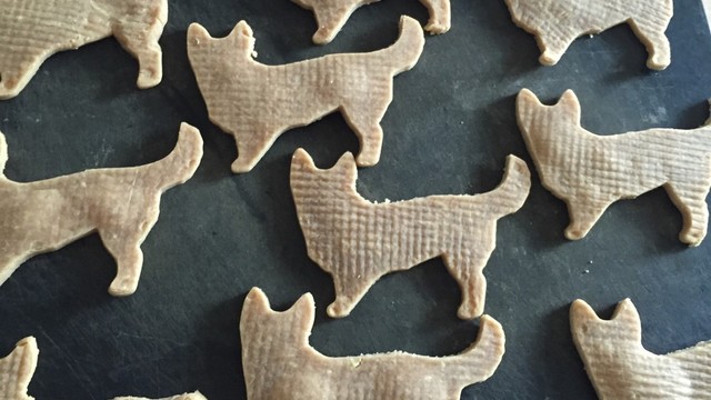犬用 きなこクッキー レシピ 作り方 By 心意気 クックパッド 簡単おいしいみんなのレシピが350万品