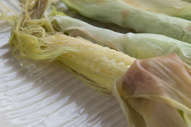 生のヤングコーンの丸焼き レシピ 作り方 By 農pro クックパッド 簡単おいしいみんなのレシピが367万品