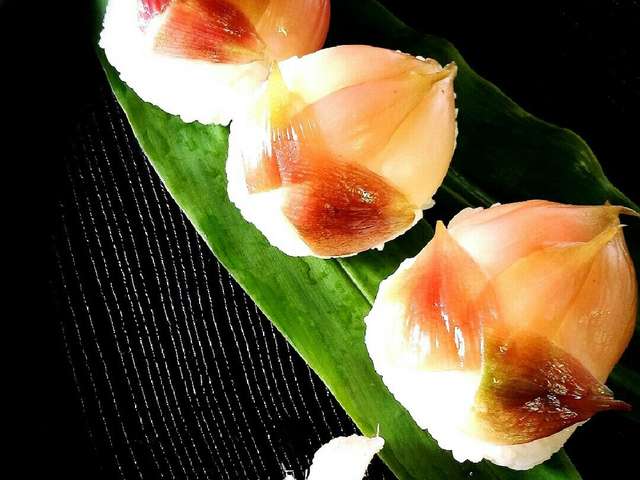 美しい花の画像 ぜいたくみょうが 花 美しい花の画像 ぜいたくみょうが 花