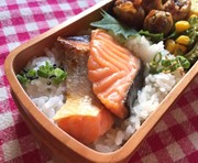 一晩でしっかり鮭の塩麹漬け我家の味の写真