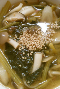 小松菜 ごぼう きのこのピリ辛味噌煮込み