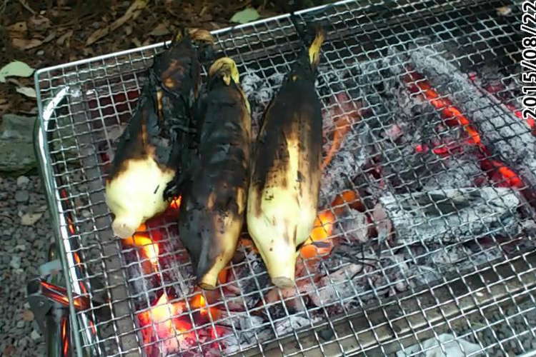 バーベキューでのとうもろこしの焼き方 レシピ 作り方 By みあリン ひびキング クックパッド