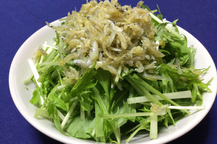 水菜のサラダ ガーリックしらすソース レシピ 作り方 By Caterina クックパッド 簡単おいしいみんなのレシピが356万品