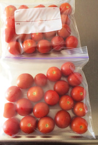 トマトの冷凍保存〜大量消費〜