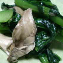 E6582aefff9a64d104268cb55a7ea420