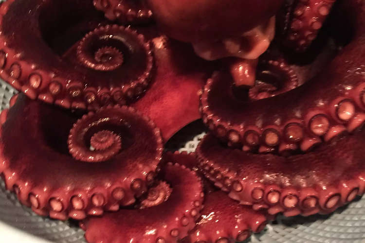 タコの茹で方 レシピ 作り方 By ひろ坊料理 クックパッド 簡単おいしいみんなのレシピが371万品