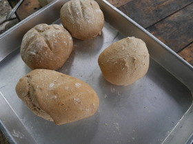 全粒粉パン【HBなしでも簡単手ごね】