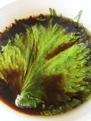 材料は3つ!青じその中華風めんつゆ漬けの写真