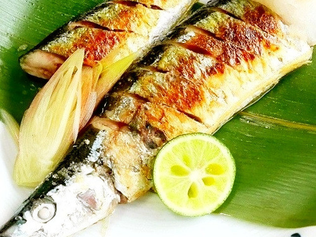 Io3dwnmhs4c Km Io3dwnmhs4c Km