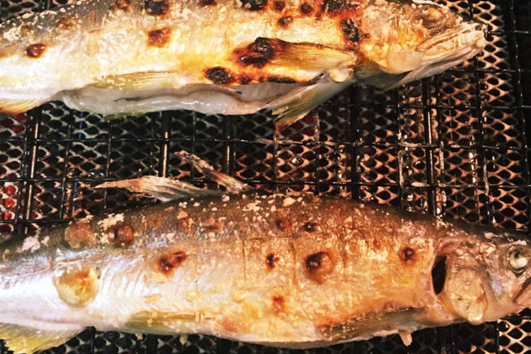 お子様にもオススメ 鮎の塩焼き レシピ 作り方 By たかしゃん クックパッド 簡単おいしいみんなのレシピが353万品