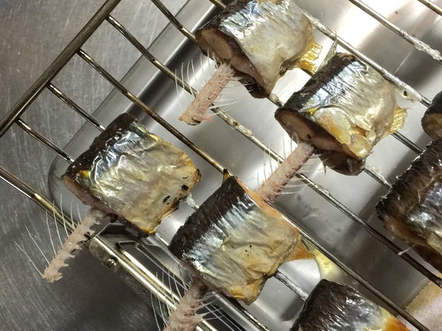 中骨抜いて食べやすく 塩焼きさんま レシピ 作り方 By のりこ523 クックパッド 簡単おいしいみんなのレシピが355万品 中骨抜いて食べやすく 塩焼きさんま レシピ 作り方 By のりこ523 クックパッド 簡単おいしいみんなのレシピが355万品