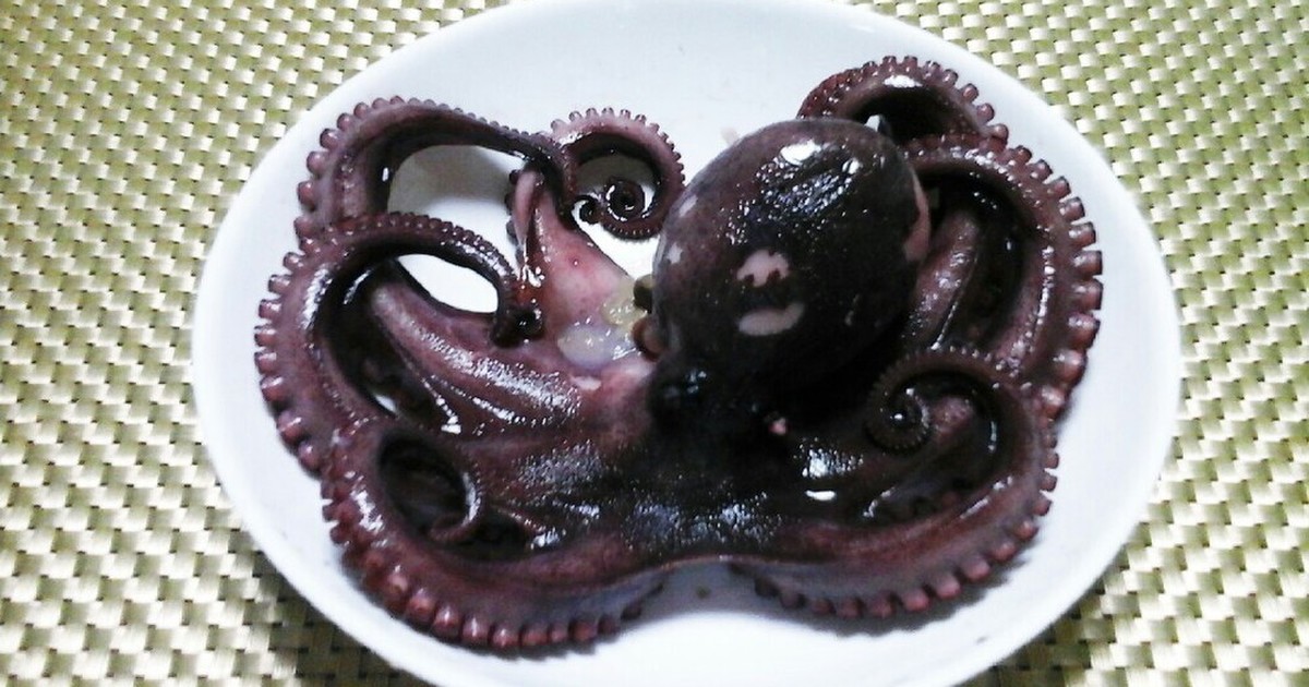 生タコを美味しく柔らかく茹でるゆで方 レシピ 作り方 By Mihotti33 クックパッド