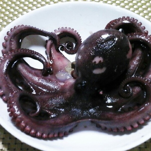 生タコを美味しく柔らかく茹でるゆで方 レシピ 作り方 By Mihotti33 クックパッド