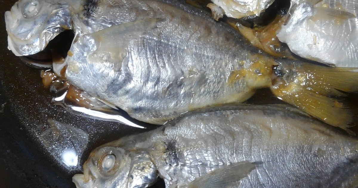 エボダイ イボダイ の基本知識 レシピ 旬な時期 釣り方 さばき方 釣りラボマガジン