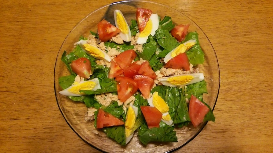 鮭水煮缶と生野菜のフレッシュサラダの画像