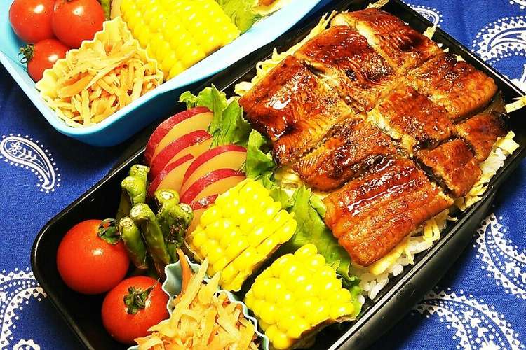 お弁当 男子高校生67 レシピ 作り方 By ブルードルフィン クックパッド 簡単おいしいみんなのレシピが357万品