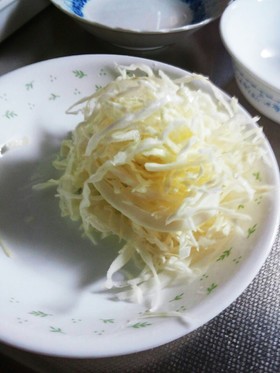 簡単キャベツ千切り盛り方!プチお洒落!