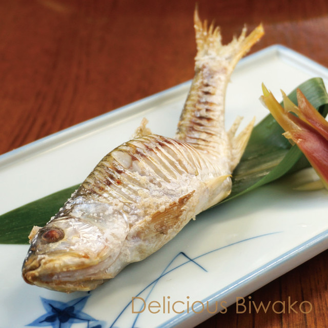 ハスの塩焼き レシピ 作り方 By 滋賀県漁連 クックパッド 簡単おいしいみんなのレシピが356万品 ハスの塩焼き レシピ 作り方 By 滋賀県漁連 クックパッド 簡単おいしいみんなのレシピが356万品