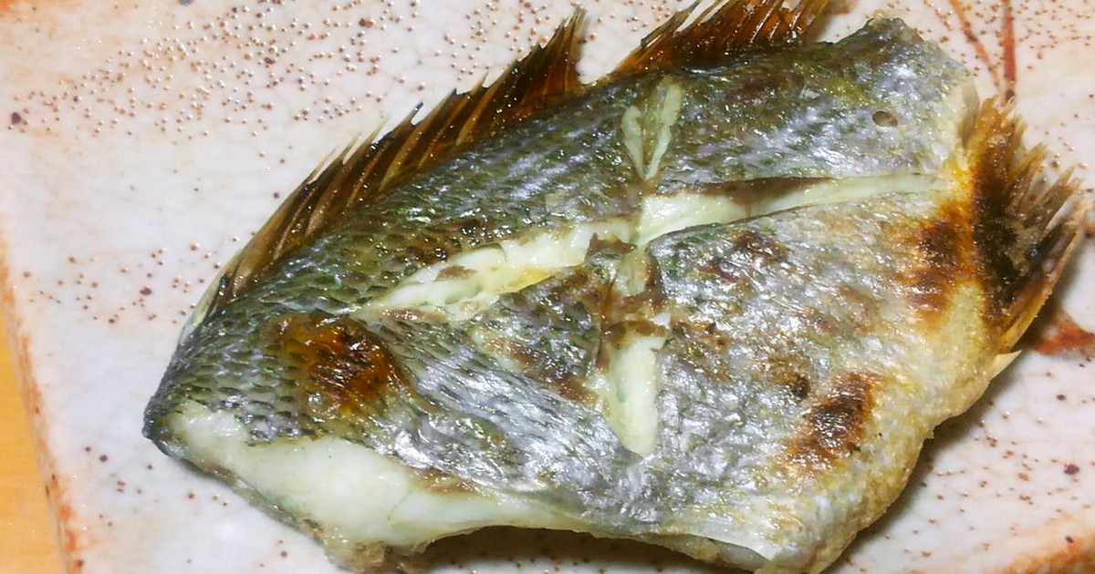 ヘダイってどんな味がするの おすすめレシピ 食べ方 釣り方を解説 釣りラボマガジン