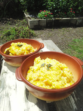 素朴な…かぼちゃのチーズリゾット