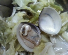 春にぴったり♪キャベツと蛤のワイン蒸し